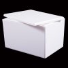 Polystyrene Boxes