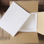 Ice Cool Shipper Boxes